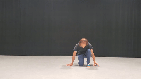 Preview of V-Gate Earth Reptile