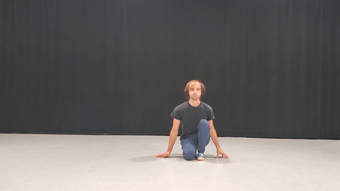 Preview of V-Gate Earth Mammal